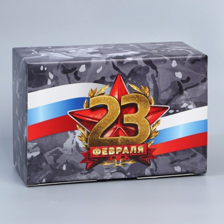 Box Gift team, packaging, "February 23", 22 x 15 x 10 cm-2