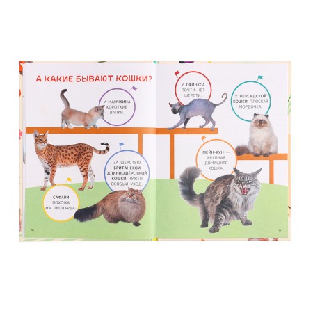 Encyclopedia for the first reading "Pets", large letters-3
