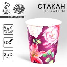 Single -paper glass 