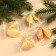 Cookies with predictions at the New Year's Eagle canbone
