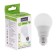 LED LED General Glden, Wa60, E27, 7 W, 230 V, 6500 K