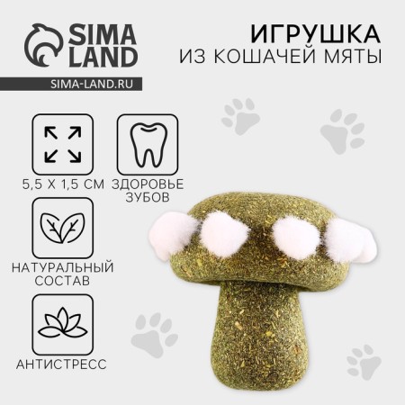 Cat toy "Mushroom" from cat mint, 5.5 x 1.5 cm