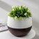 Pot for flowers "Japan", 3 l, the color is white-one-one-brown