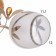 Jeannet chandelier 2x40W E27 Gold Model: 2800064