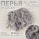 Tesma with feathers turkey, 13-17 cm, 5 ± 0.5 m, gray color
