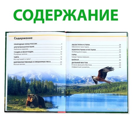 Children's Encyclopedia in solid binding "Animals of Russia", 48 p.-2