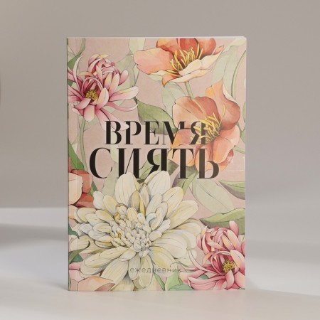 Set: A5 Diary, 80 sheets, stickers and pen "Time to shine"-2