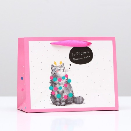 Gift Package "Home Cat", 23 x 17.8 x 9.8 cm
