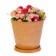 Pot for flowers and plants with a pallet, 3l new terracotta 18x18x20cm