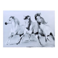 Picture on the canvas 