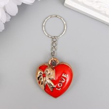 A plastic keychain for metal 