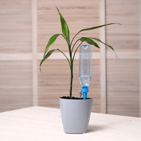 Auto -polyove for indoor plants, under a bottle adjustable with a crane, Greengo-3