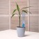 Auto -polyove for indoor plants, under a bottle adjustable with a crane, Greengo