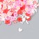 Decor for creativity Plastic "Flowers and Lollows" 20 g