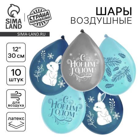 Shar Latex 12 “New Year's Happiness”, 1 tbsp., New Year's set 10 pcs.