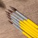 Drawing brush set 6 pcs. Protein "Creative Personality" No. 1, 2, 3, 4, 5, 6