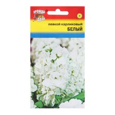 Flower seeds 