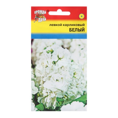 Flower seeds "dwarf", white, 0.1 g