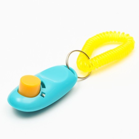 Clider for training dogs with a bracelet on the hand, blue-1