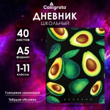 Universal diary for grade 1-11 