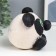 Growing gift grass growing "Panda" mix