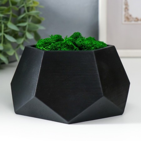 Kashpo concrete "hexagon" height 6.5 cm black with moss (moss green stabilized)-1
