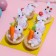 Decor "Rabbit" (6 pcs)