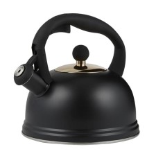 A kettle with a whistle OTTO 2 l