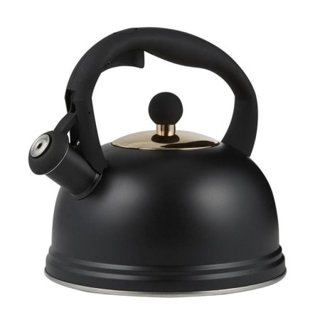 A kettle with a whistle OTTO 2 l