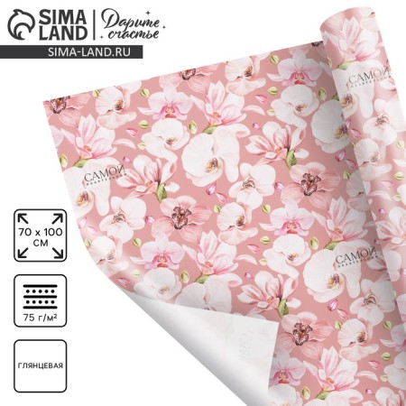 Paper Packe Glossy "Orchid", 70 x 100 cm