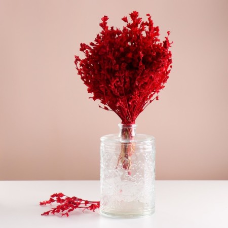 Set of dried flowers "chandra", banch length 40 (+/- 6 cm), red