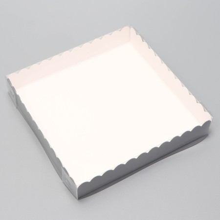 Box for cookies, silver, 18 x 18 x 3 cm-2