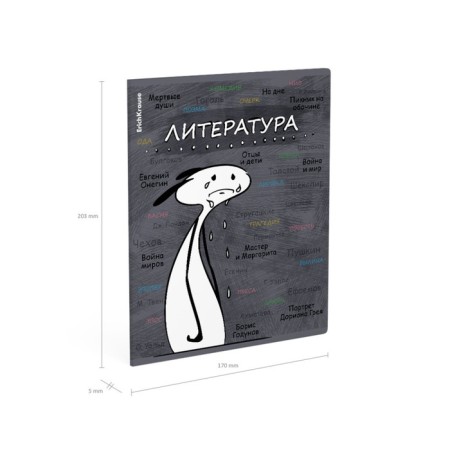 Subject notebook, 48 sheets, ruler, literature Erichkrause "Chubrik", plastic cover silk-screen cover, Blok Offset 100%, information block-6