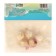 Allium Luke decorative Rosie Dream, Rr. 6/+, 5 pcs, autumn 2024