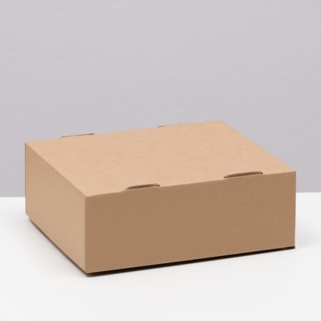 Box the team, cover, "brown" 21 x 18 x 8 cm