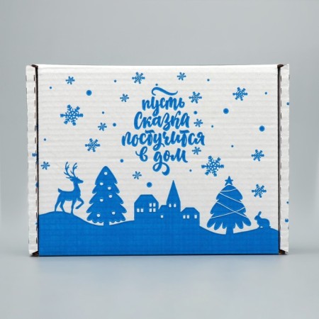 Box the national team "Snow City", White, 27 x 21 x 9 cm, New Year-3
